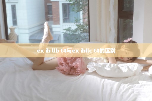 ex ib llb t4与ex ibllc t4的区别