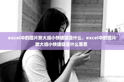 excel中的图片放大缩小快捷键是什么，excel中的图片放大缩小快捷键是什么意思 