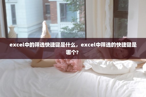 excel中的筛选快捷键是什么，excel中筛选的快捷键是哪个? 