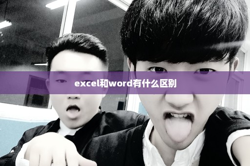 excel和word有什么区别