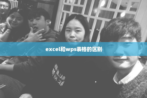 excel和wps表格的区别