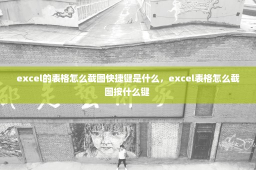 excel的表格怎么截图快捷键是什么，excel表格怎么截图按什么键 