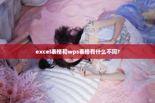 excel表格和wps表格有什么不同?