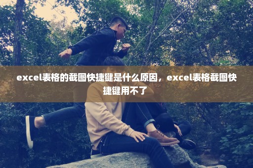 excel表格的截图快捷键是什么原因，excel表格截图快捷键用不了 