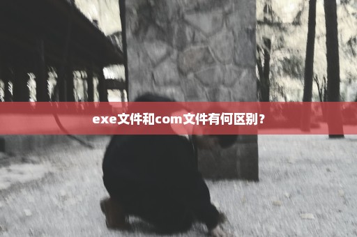exe文件和com文件有何区别？