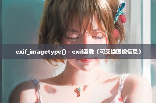 exif_imagetype() - exif函数（可交换图像信息）