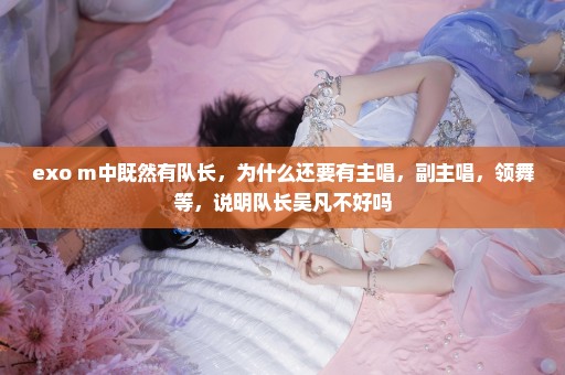 exo m中既然有队长，为什么还要有主唱，副主唱，领舞等，说明队长吴凡不好吗