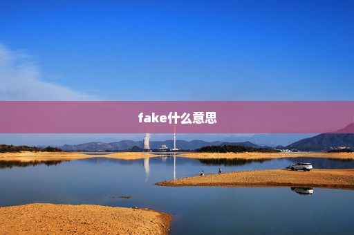 fake什么意思