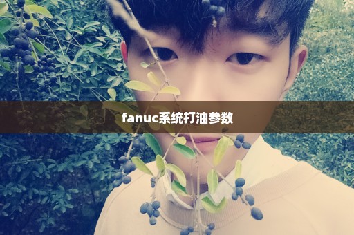 fanuc系统打油参数