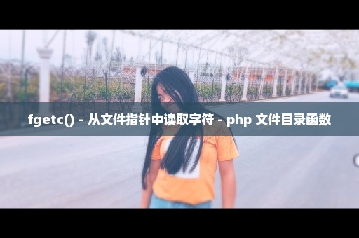 fgetc() - 从文件指针中读取字符 - php 文件目录函数