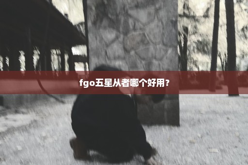 fgo五星从者哪个好用？