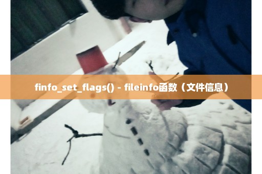 finfo_set_flags() - fileinfo函数（文件信息）