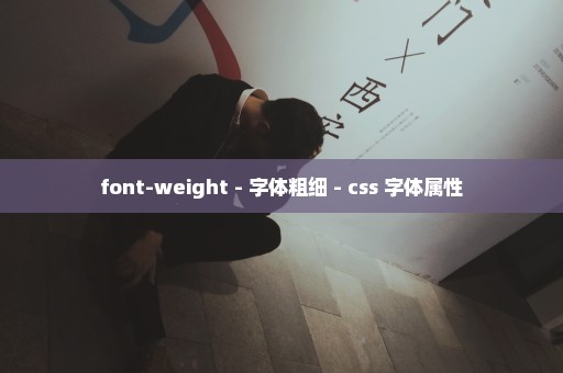 font-weight - 字体粗细 - css 字体属性