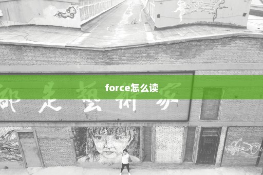 force怎么读