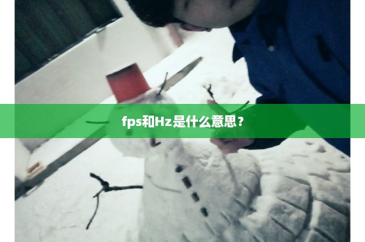 fps和Hz是什么意思？