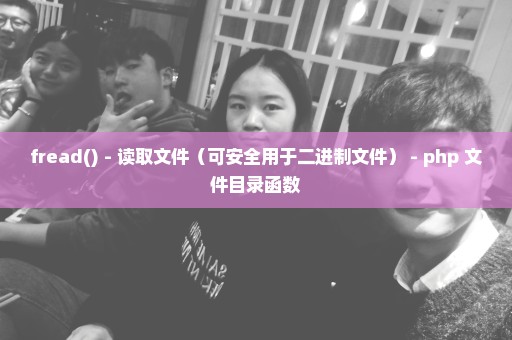 fread() - 读取文件（可安全用于二进制文件） - php 文件目录函数