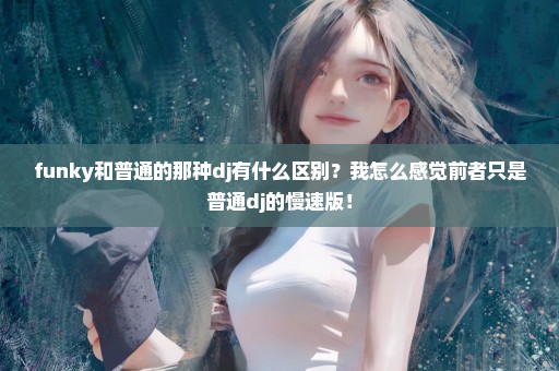 funky和普通的那种dj有什么区别？我怎么感觉前者只是普通dj的慢速版！