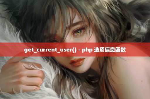 get_current_user() - php 选项信息函数