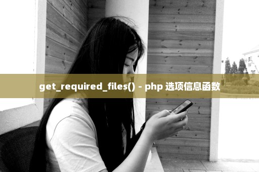 get_required_files() - php 选项信息函数