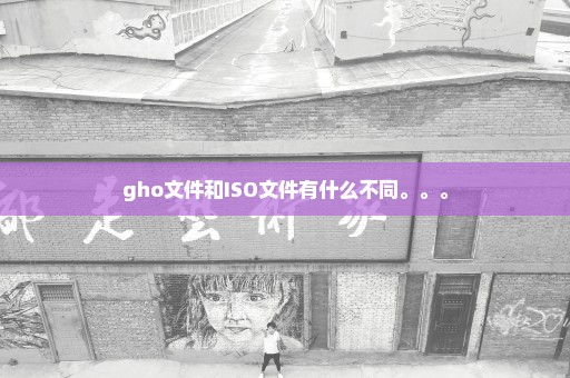 gho文件和ISO文件有什么不同。。。