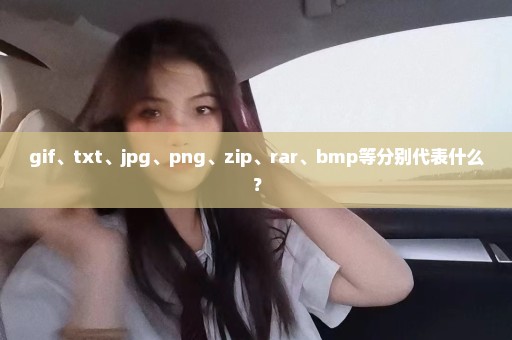 gif、txt、jpg、png、zip、rar、bmp等分别代表什么？