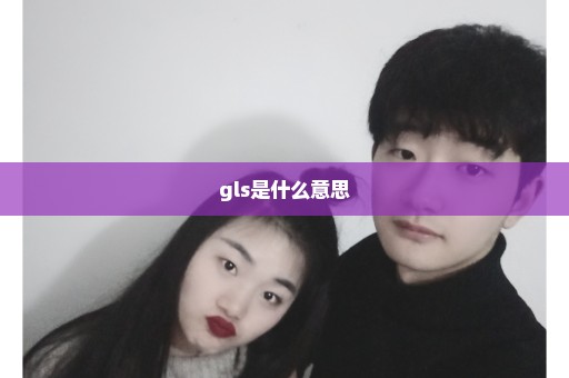 gls是什么意思