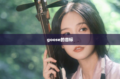 goose的音标