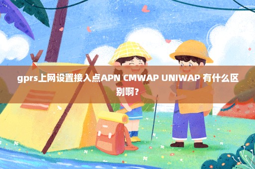 gprs上网设置接入点APN CMWAP UNIWAP 有什么区别啊？