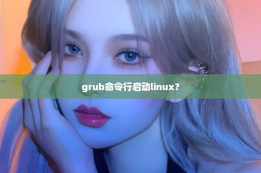 grub命令行启动linux？
