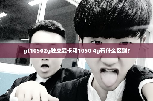 gt10502g独立显卡和1050 4g有什么区别？