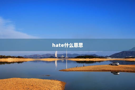 hate什么意思