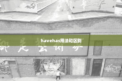 havehas用法和区别