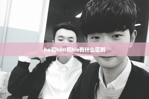 he和him和his有什么区别