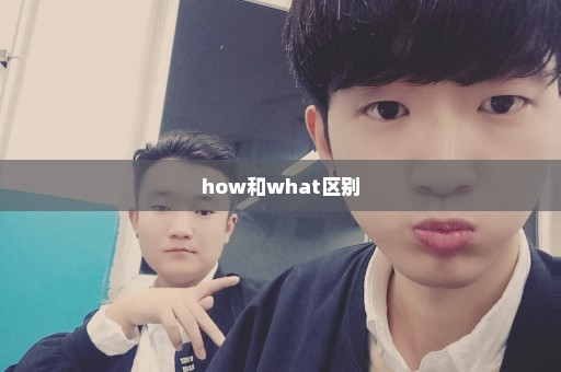 how和what区别