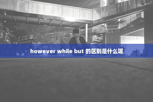 however while but 的区别是什么呢
