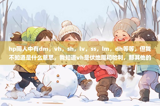 hp同人中有dm，vh，sh，lv，ss，lm，dh等等，但我不知道是什么意思，我知道vh是伏地魔和哈利，那其他的呢