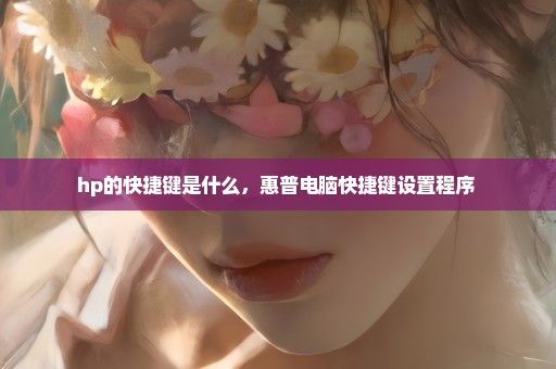 hp的快捷键是什么，惠普电脑快捷键设置程序 