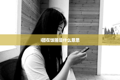 i团在饭圈是什么意思