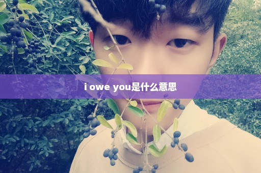 i owe you是什么意思