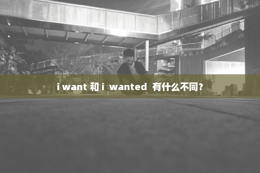 i want 和 i  wanted  有什么不同？