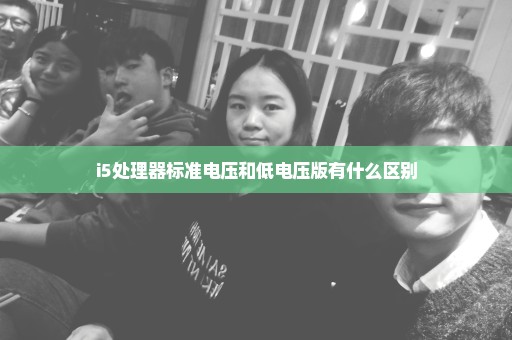 i5处理器标准电压和低电压版有什么区别
