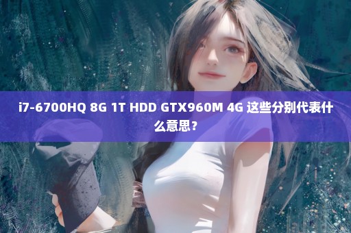 i7-6700HQ 8G 1T HDD GTX960M 4G 这些分别代表什么意思？