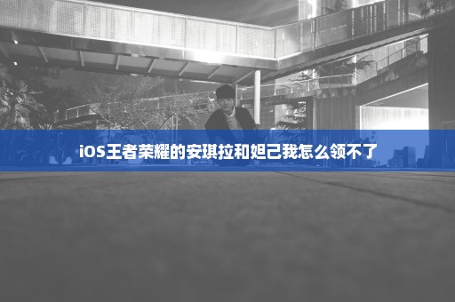 iOS王者荣耀的安琪拉和妲己我怎么领不了