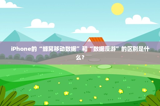 iPhone的“蜂窝移动数据”和“数据漫游”的区别是什么？