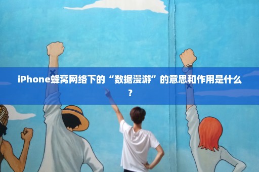 iPhone蜂窝网络下的“数据漫游”的意思和作用是什么？
