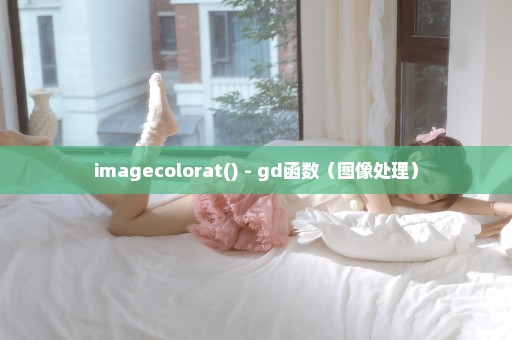 imagecolorat() - gd函数（图像处理）