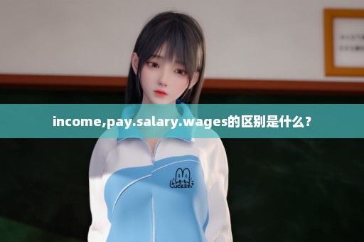 income,pay.salary.wages的区别是什么？