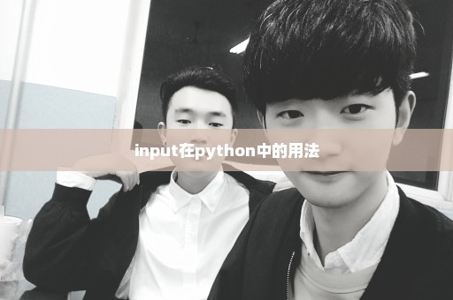 input在python中的用法