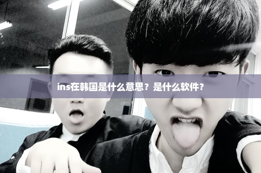 ins在韩国是什么意思？是什么软件？