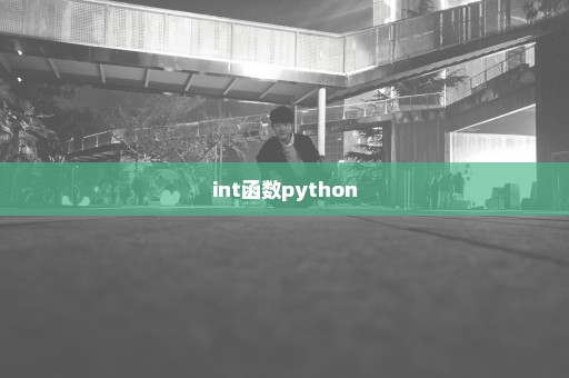 int函数python